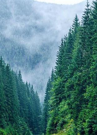 Фотосетка для забора и беседки карпаты