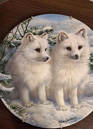 «колекційна декоративна тарілка royal grafton arctic fox cubs, mike jackson, англія, 1991».