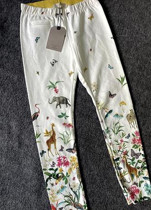Трегинсы zara 2