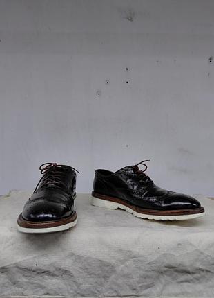 Туфлі dolce gabbana  brogues 6