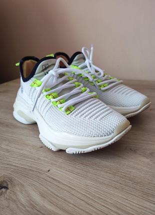 Кроссовки steve madden