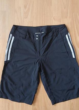 Мужские шорты adidas climacool