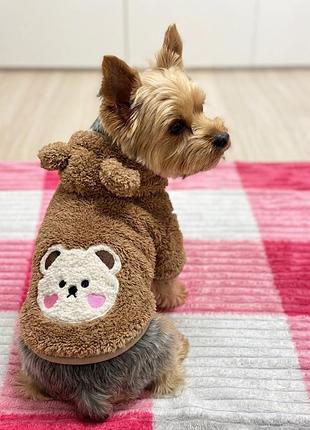 Кофта для собак