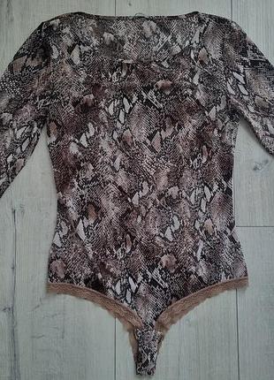 Эластичное боди сеточка intimissimi, m 5