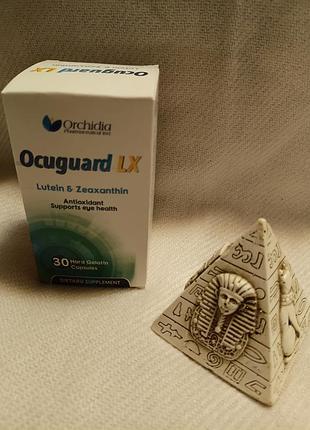 Окюгуард lx