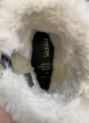 Сапоги зимние geox3 фото