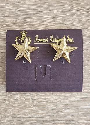 Сережки premier design