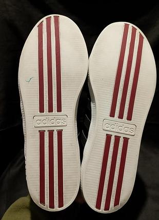 Adidas calneo laidback 8