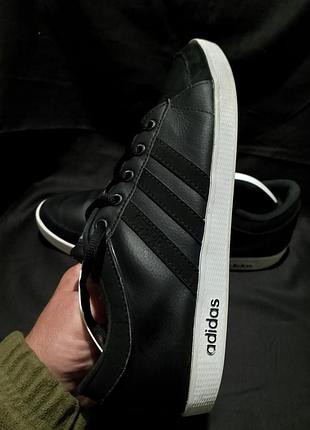Adidas calneo laidback 2