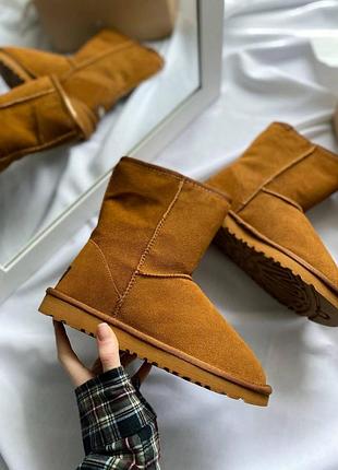 Жіночі угги замшеві ugg classic short brown caramel , високі черевики на хутрі овчина на зиму, класік шорт хутро