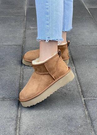Жіночі зимові угги ugg ultra mini platform beige, черевики на зиму на високій платформі, взуття на овчині хутро ультра міні
