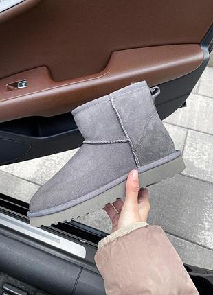 Жіночі сірі зимові угги ugg mini bailey bow ii grey, замшеві жіночі черевики, натуральне взуття на овчині на зиму угги міні