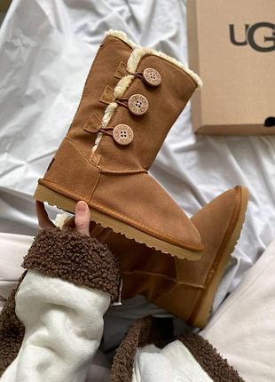 Жіночі зимові руді угги на овчині, ugg bailey button triplet ii high caramel, замшеві рижі черевики з гудзикои на зиму