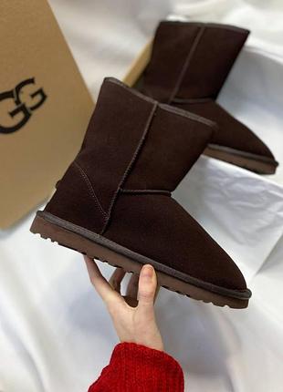 Жіночі угги ugg classic short brown mocha, високі замшеві черевики на хутрі взуття на зиму, класік шорт