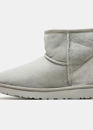 Жіночі зимові угги ugg classic mini, замшеві жіночі черевики, бежеве взуття на хутрі овчина на зиму угги класік міні
