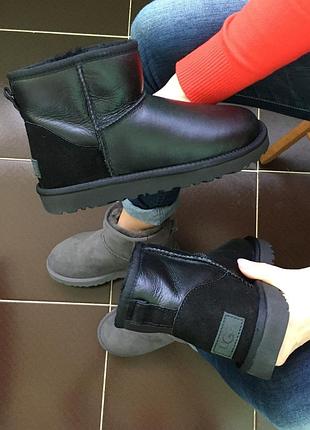 Жіночі зимові угги ugg classic mini, теплі жіночі черевики, якісне високе взуття на зиму угги класік міні