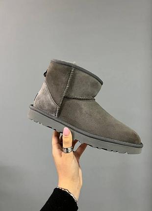Жіночі зимові угги ugg mini bailey bow ii grey, замшеві жіночі черевики, натуральне взуття на овчині на зиму угги класік міні