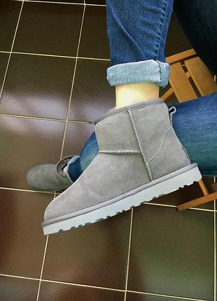 Жіночі зимові угги ugg mini bailey bow ii grey, теплі жіночі черевики, якісне високе взуття на зиму угги міні
