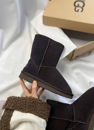 Жіночі угги ugg classic short brown umber, високі замшеві черевики на хутрі овчина на зиму, класік шорт