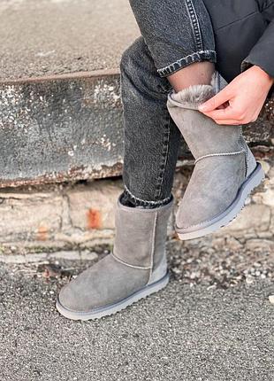 Женские зимние угги ugg classic mini grey, теплые женские ботинки, качественная высокая обувь на зиму угги