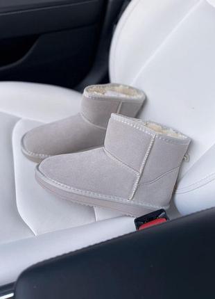 Жіночі зимові угги ugg mini milk suede, замшеві жіночі черевики, натуральне взуття на хутрі овчина на зиму угги міні