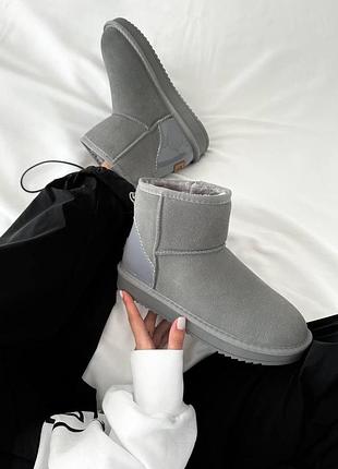 Жіночі зимові угги ugg mini cool grey, замшеві жіночі черевики, сіре взуття на хутрі овчина на зиму угги міні