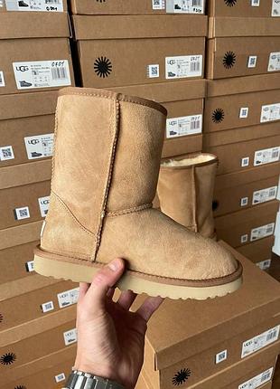 Женские рыжие замшевые угги ugg classic short ii chestnut, зимняя высокая обувь на меху, ботинки на овчине угг 37