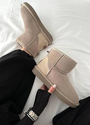 Женские зимние угги ugg mini cream beige, бежевые женские ботинки, замшевая обувь на меху овчина, лак пятая уг 40