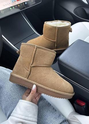 Жіночі зимові угги ugg mini, теплі жіночі черевики, якісне високе взуття на зиму угги міні на хутрі