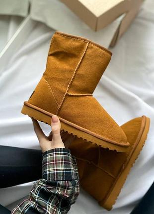Жіночі угги ugg classic short brown caramel, рижі замшеві черевики на хутрі овчина на зиму, класік шорт