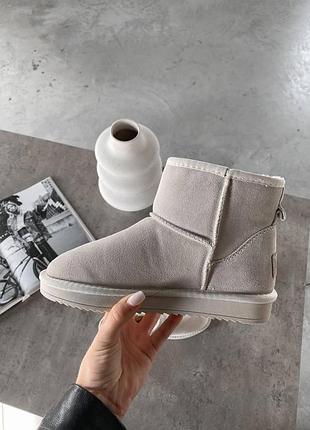 Женские зимние угги ugg mini milk suede, замшевые молочные женские ботинки, обувь на меху овчина на зиму угги 38