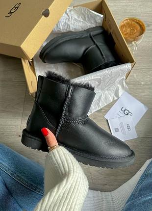 Жіночі зимові чорні угги ugg mini zip black,шкіряні черевики на замочку, взуття на овчині хутро міні зіп