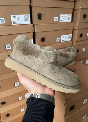 Женские зимние угги ugg coquette khaki, женские замшевые натуральные ботинки, низкая хаки обувь на меху овчина
