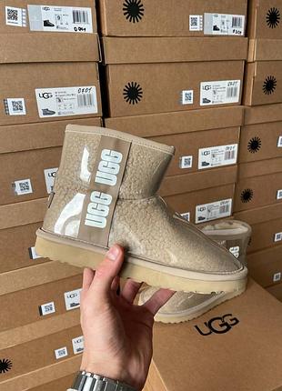 Женские зимние бежевые угги ugg classic clear mini brown, лакированные стильные ботинки на меху, обувь овчина
