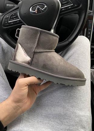 Женские зимние угги ugg mini dark grey, женские ботинки на меху, лакированная пятая обувь овчина на зиму угги 38