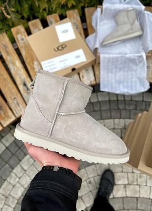 Жіночі зимові угги ugg classic mini light grey, замшеві жіночі черевики, бежеве взуття на хутрі овчина на зиму угги класік міні