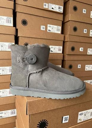 Женские зимние угги на овчине, ugg mini bailey button grey, замшевые ботинки серые из пуговицы на зиму.