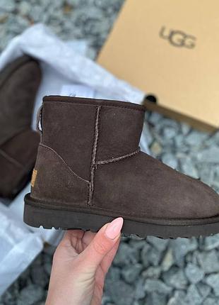 Женские зимние угги ugg classic mini, коричневые женские ботинки, высокая обувь на овчине на зиму угги классик 38