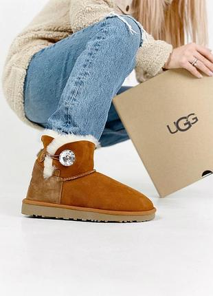 Женские зимние угги на овчине, ugg mini bailey button chestnut, коричневые замшевые ботинки с пуговицами 41