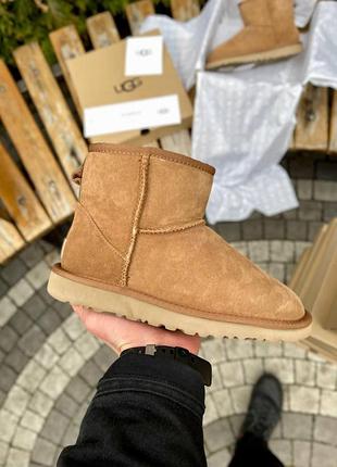 Унисекс рыжие зимние угги ugg classic mini chestnut suede, женские ботинки на овчине, замшевая обувь на зиму 39