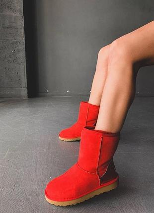 Женские угги ugg classic short, красные высокие замшевые ботинки на меху овчина на зиму, классик шорт.