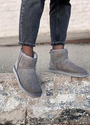 Женские серые угги ugg classic mini ii grey, замшевые натуральные женские ботинки, обувь на овчине на зиму мех 38