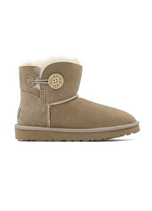 Женские зимние угги на овчине, ugg mini bailey button chestnut, замшевые рыжие ботинки с пуговицами на зиму 38