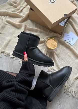 Унисекс зимние угги ugg lether mini black, теплые женские кожаные ботинки на зиму черные угги мини 41, 40
