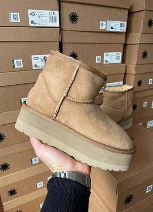 Женские рыжие замшевые угги ugg mini platform, зимняя обувь на платформе, ботинки на меху овчина угг мини 39