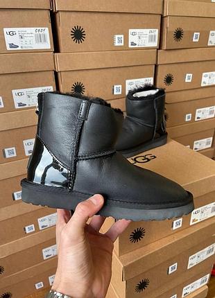 Жіночі зимові чорні угги ugg mini zip black,шкіряні черевики на блискавці, взуття на овчині хутро, лак п'ята міні зіп