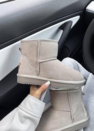 Женские зимние угги ugg mini, теплые женские ботинки, качественная высокая обувь на зиму угги мини серые 38