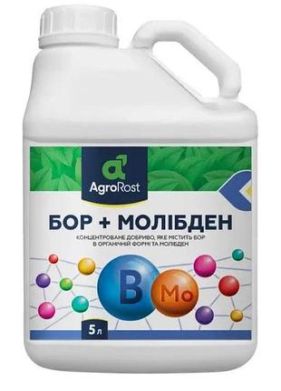 Агроросост бор 150 + молибден, agrorost бор+молибден 5 литров