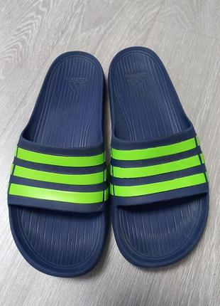Мужские шлепанцы adidas