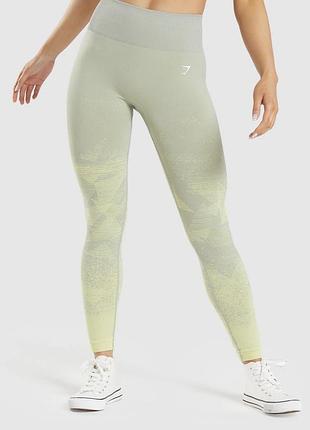 Спортивні лосіни gymshark